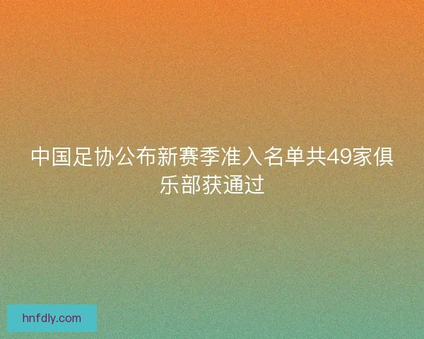 中国足协公布新赛季准入名单共49家俱乐部获通过